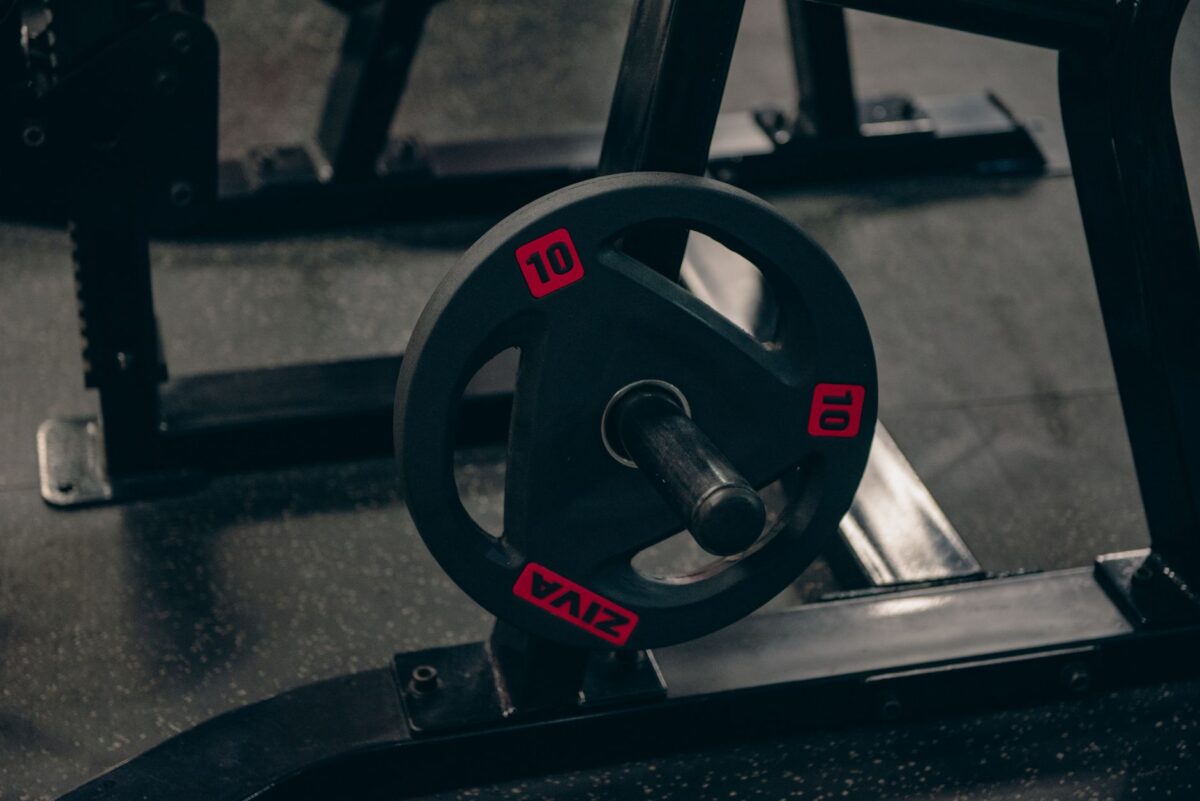 programme musculation haltères cas usage profil