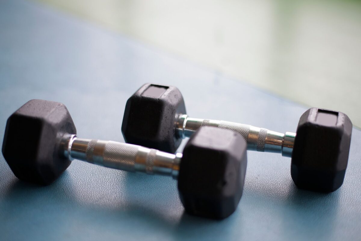 programme musculation haltères mouvements construire physique